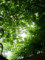 �q�v�m�Z���s�[ �S���g�̂��قǂ���悤�ɁA���Ȃ����y�ɂȂ�܂��悤��