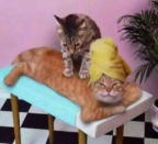 温かい手で優しくしっかりと包み込むエサレンマッサージ