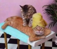 �̂�т������肪�Ȃ��݂Ƃ���̗��V ���Ԃɔ���ꂸ�󂯂���G�T�����}�b�T�[�W�E�G�T�����{�f�B���[�N�̓q�[�����O���ʂ���荂���Ȃ�