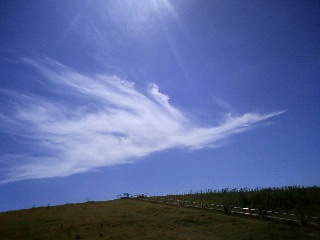 �G�T�����}�b�T�[�W �G�T�����{�f�B���[�N�͎����̐S�g����̍D�@ �����x���ɂ܂œ͂��قǂ̃I�C���}�b�T�[�W�ł�